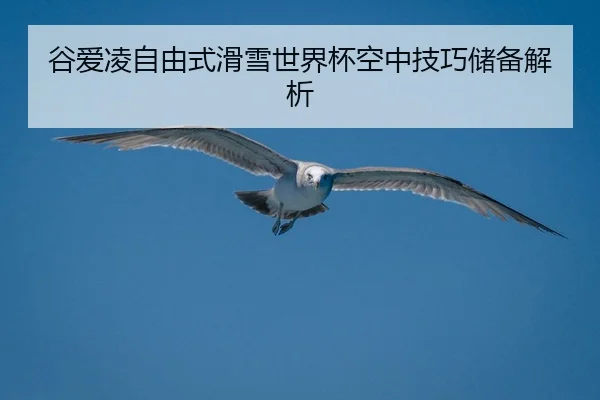 gu-ai-ling-zi-you-shi-hua-xue-shi-jie-bei-kong-zhong-ji-qiao-chu-bei-jie-xi-2-407.jpg