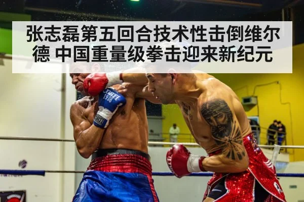 张志磊第五回合技术性击倒维尔德 中国重量级拳击迎来新纪元